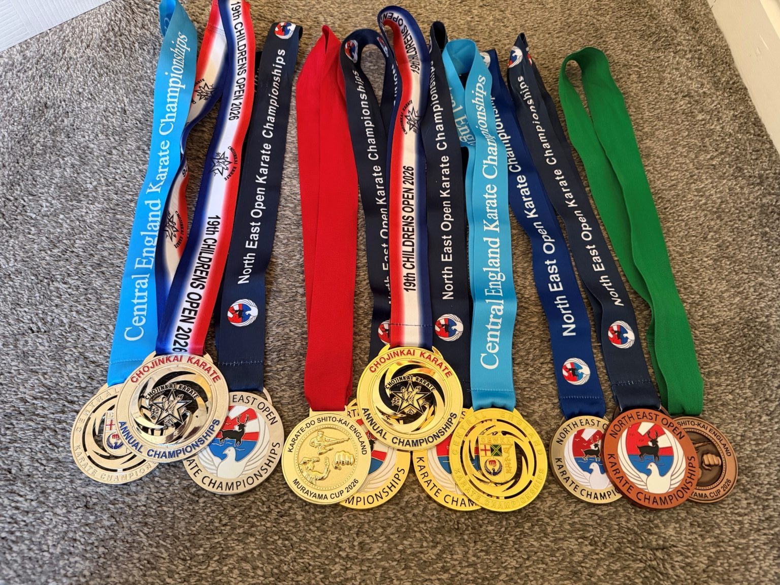Moseley Park Student Achieves Karate World Champion Success in Brazil
